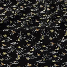 Product image for 1010040