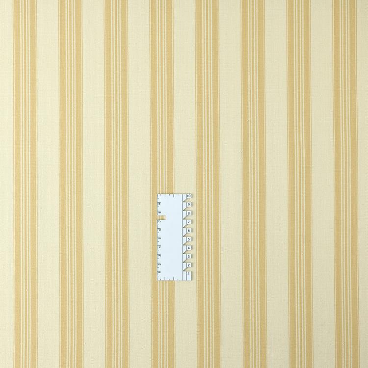 Product image for 12031