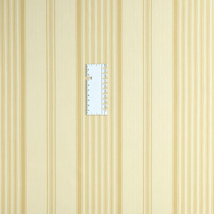 Product image for 12031