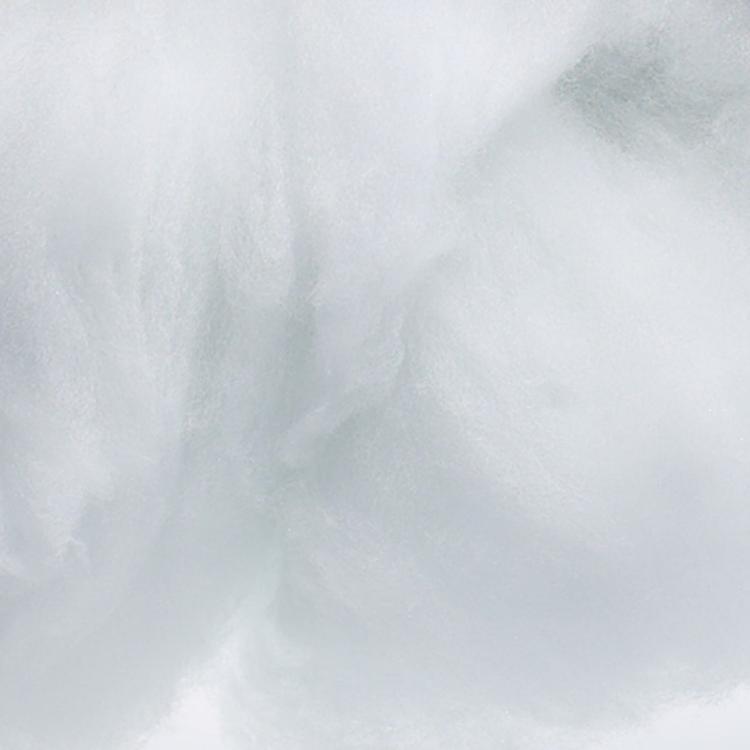 Product image for 1900900