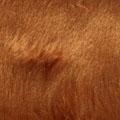 Product image for 10015_27