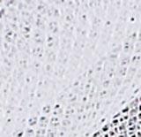 Product image for 10095_01