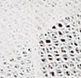 Product image for 10095_31