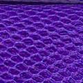 Product image for 10130_17