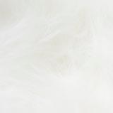 Product image for 10483_31