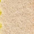 Product image for 11093_09