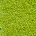 Product image for 11093_23