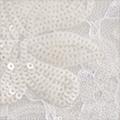 Product image for 12027_01