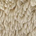 Product image for 12059_31