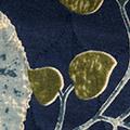 Product image for 12098_20