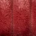 Product image for 12132_03