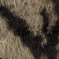 Product image for 12175_01