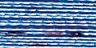 null 2307