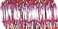 Product image for 24355_13