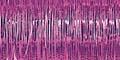 Product image for 24980_12