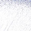Product image for 54093_00