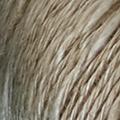 Product image for 54158_31