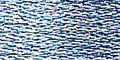 Product image for 553_0334